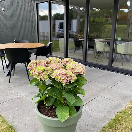 Nieuw Luxe 4p Eco Naast Het Bos Op De Veluwe Apartment *