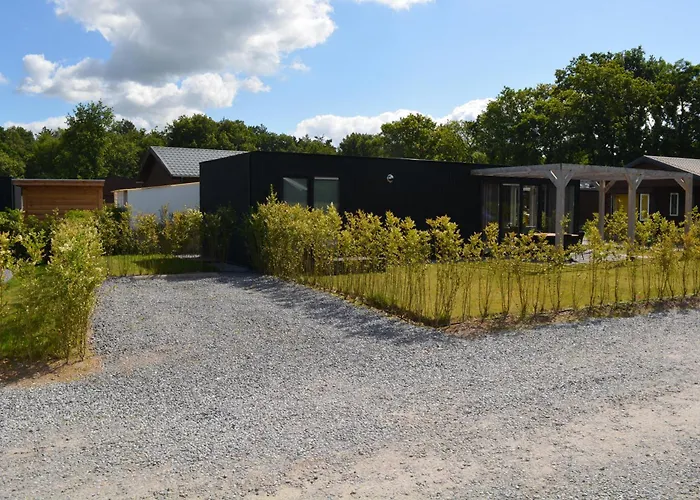 Nieuw Luxe 4p Eco Naast Het Bos Op De Veluwe