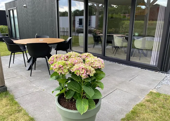 Nieuw Luxe 4p Eco Naast Het Bos Op De Veluwe Lejlighed *